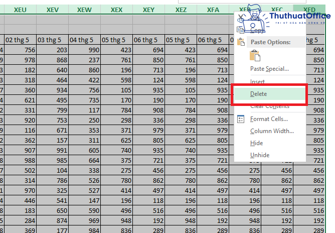 Không insert được cột trong Excel