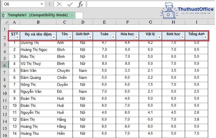 2 cách lọc dữ liệu trong Excel cực đơn giản bạn nên biết 17