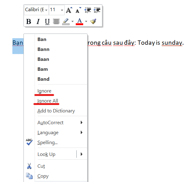 2 cách tắt gạch chân đỏ trong Word triệt để