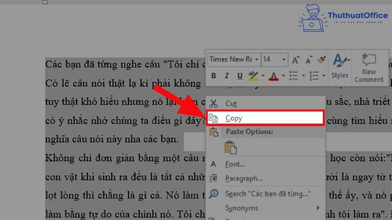 Cách copy 1 trang Word nhanh gọn, đơn giản 3