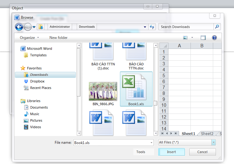 Cách chèn file Excel vào Word trong tích tắc 4