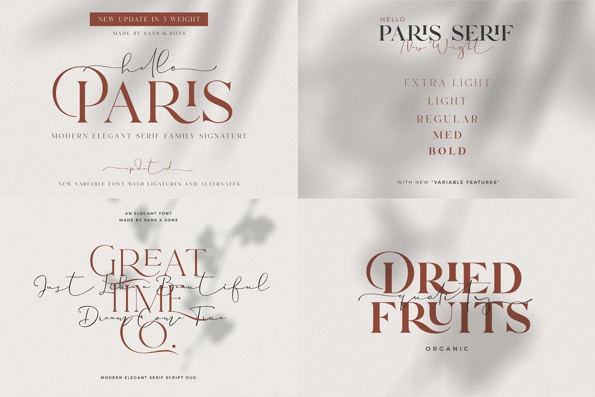 Modern Elegant Font Bundle 574206