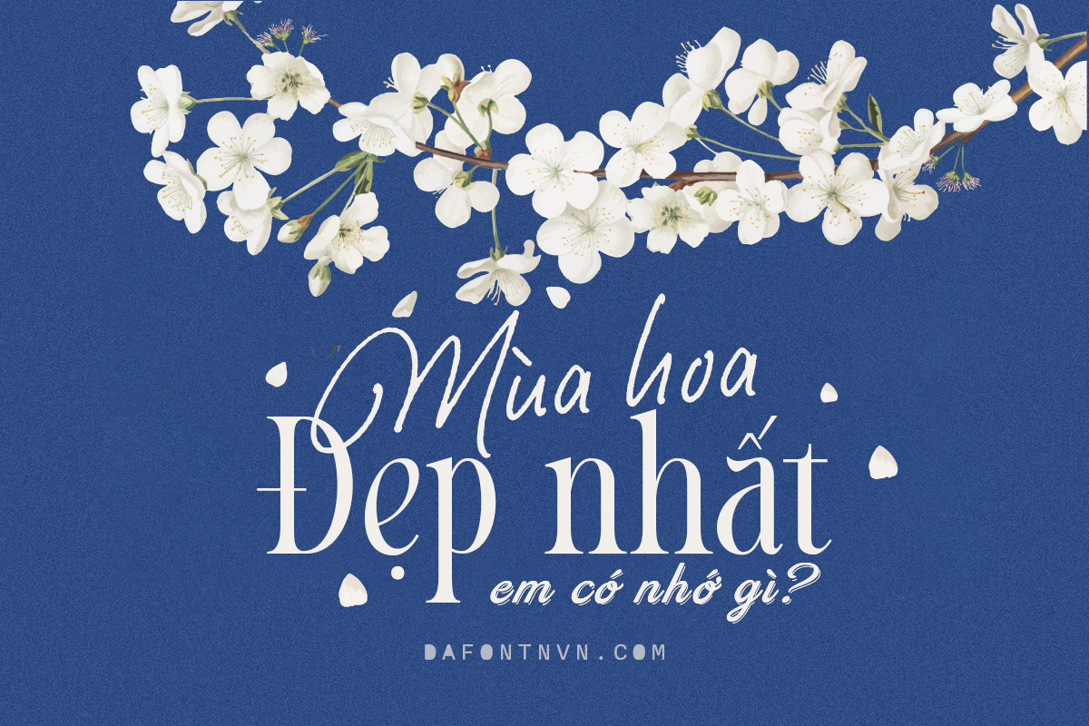 Font việt hóa đẹp typography