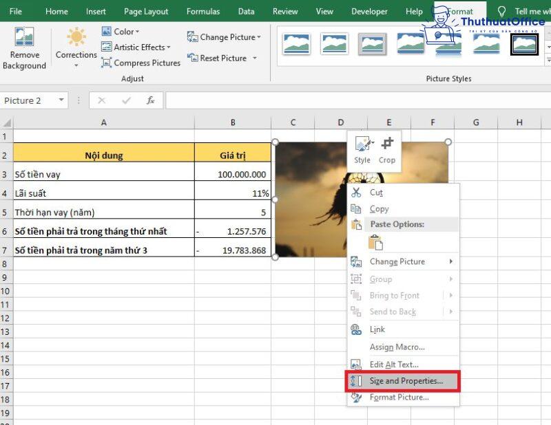 chèn ảnh vào excel