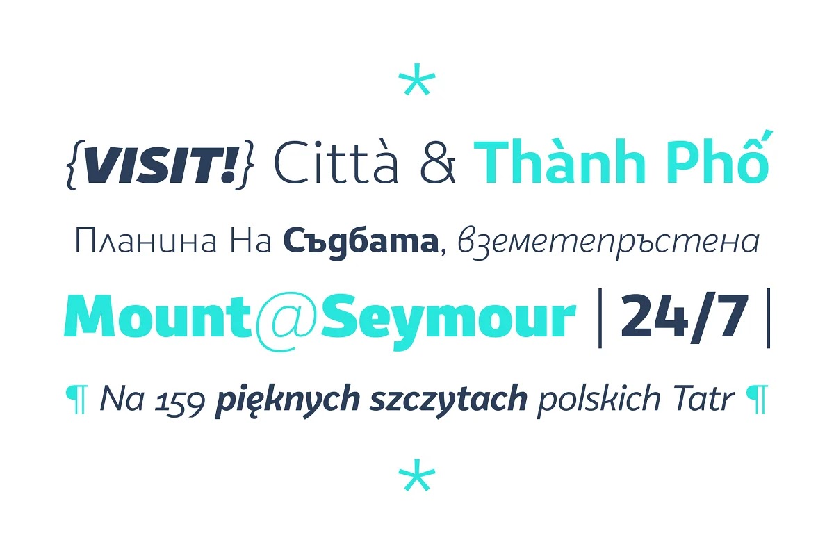 VanSans Type Family Full Font