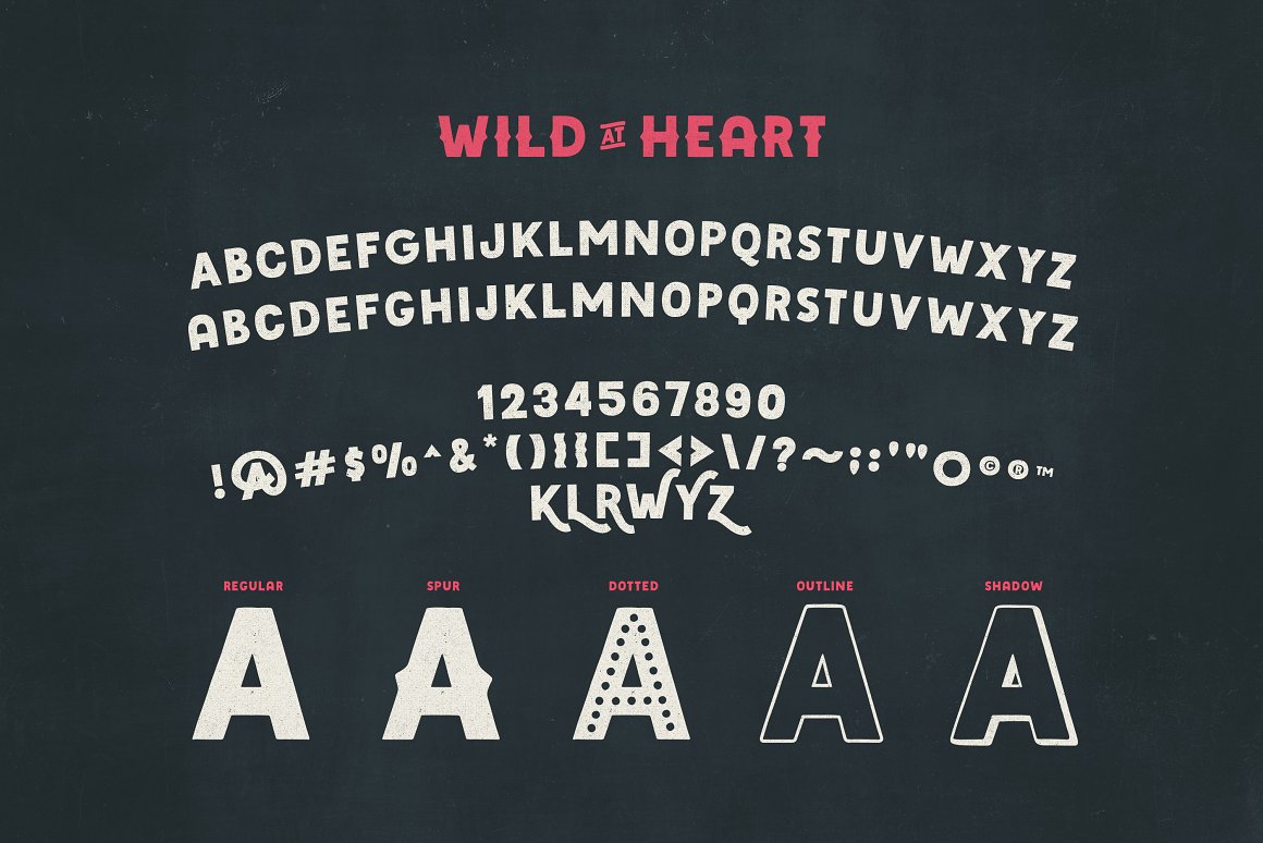 Wildheart Font - Character