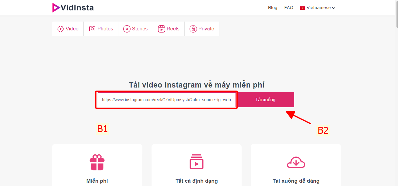 Dán liên kết video cần tải vào Vidinsta.