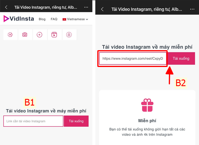 Dán đường link tải xuống vào ứng dụng Vidinsta.