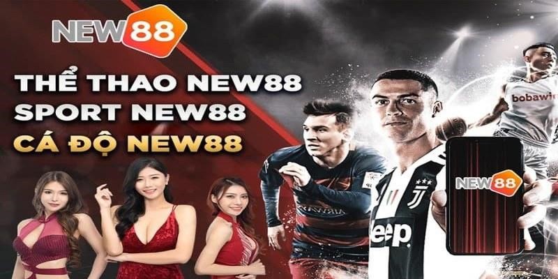 Nhà cái Bsports đẳng cấp