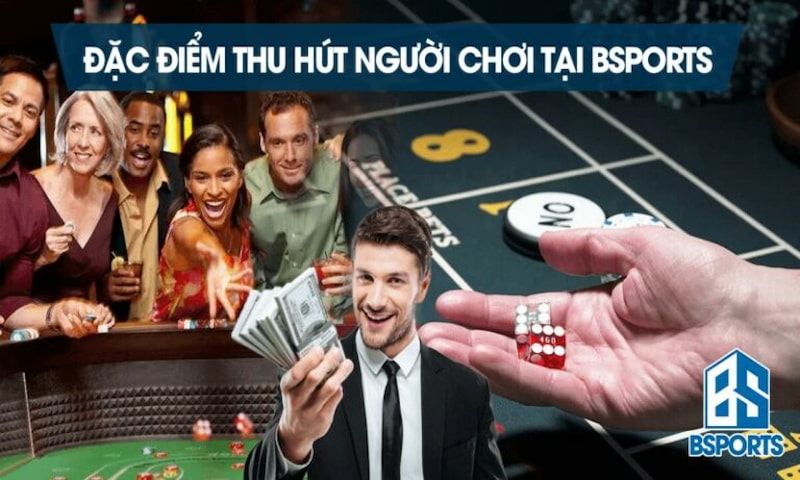 Điều gì đã khiến Bsport thành công đến vậy?