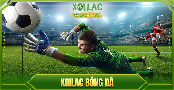 Xem bóng đá trực tiếp tại Xoilac TV