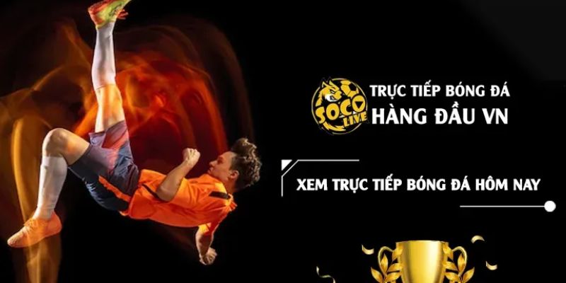 Trực tiếp bóng đá hàng đầu Việt Nam