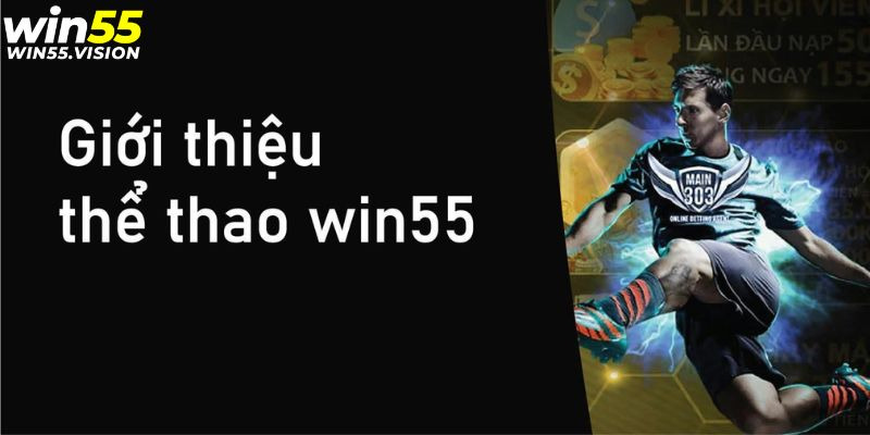 Tìm hiểu về các cược bóng đá WIN55