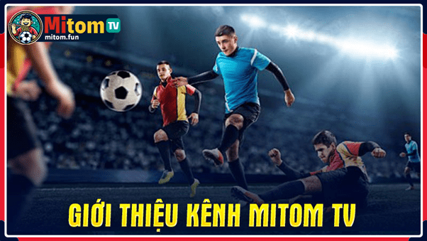 Giới thiệu sơ nét về trang web Mitom TV