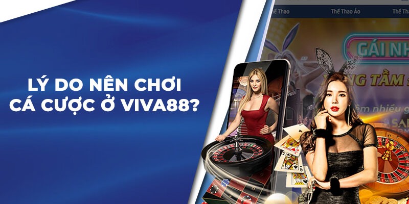 Viva88 - điểm hẹn giải trí chất lượng top đầu châu Á