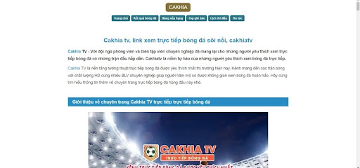 Sơ lược về website xem bóng đá Cakhia TV