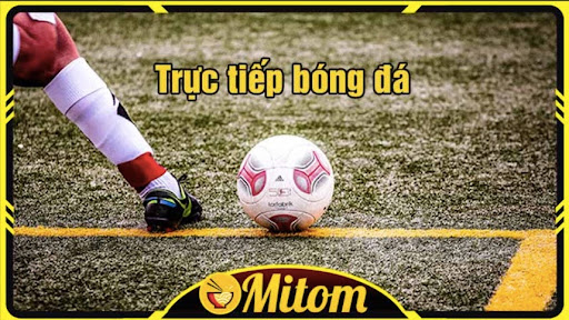 Mitom TV đảm bảo không có độ trễ khi xem bóng đá