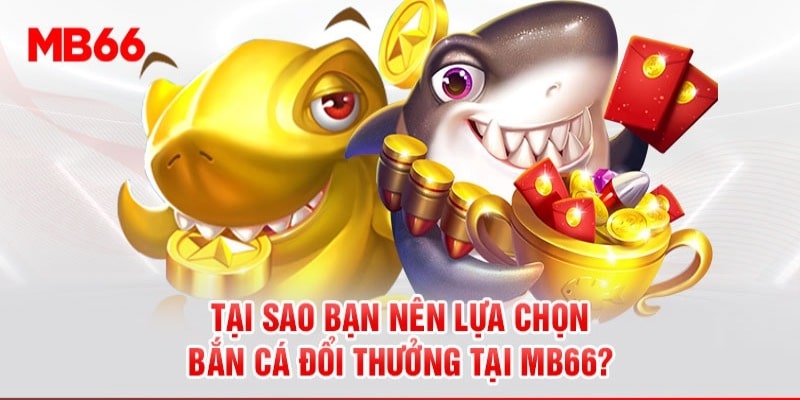 Tính năng trong trò chơi Vua Hải Tặc