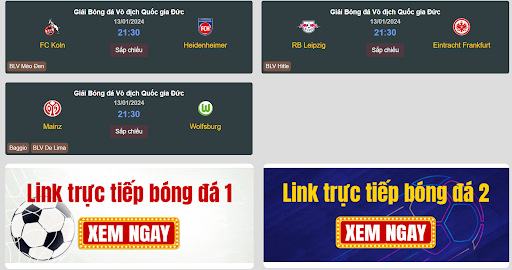 Trang web có gần như tất cả bản quyền bóng đá của các giải đấu trên hành tinh