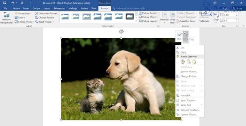 Cách cắt ảnh trong Word và nhiều ứng dụng khác mà bạn có thể chưa biết 3 cách cắt ảnh trong Word