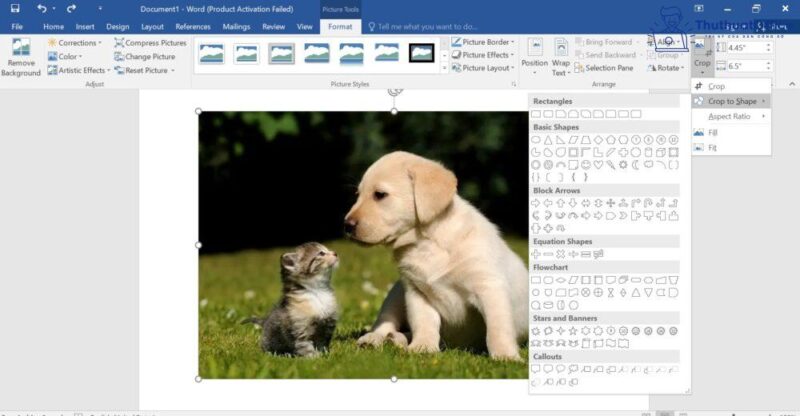 Cách cắt ảnh trong Word và nhiều ứng dụng khác mà bạn có thể chưa biết 9 cách cắt ảnh trong Word