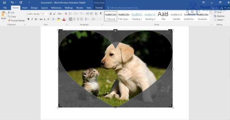 Cách cắt ảnh trong Word và nhiều ứng dụng khác mà bạn có thể chưa biết 11 cách cắt ảnh trong Word