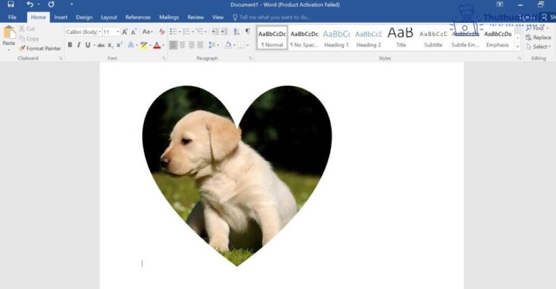 Cách cắt ảnh trong Word và nhiều ứng dụng khác mà bạn có thể chưa biết 12 cách cắt ảnh trong Word