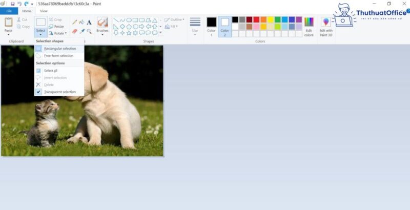 Cách cắt ảnh trong Word và nhiều ứng dụng khác mà bạn có thể chưa biết 15 cách cắt ảnh trong Word