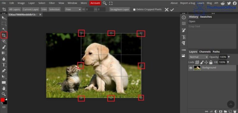 Cách cắt ảnh trong Word và nhiều ứng dụng khác mà bạn có thể chưa biết 19 cách cắt ảnh trong Word