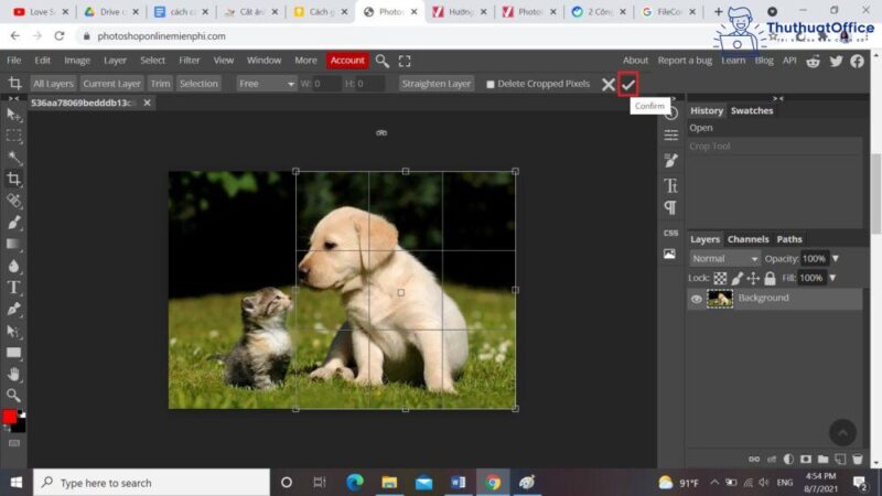 Cách cắt ảnh trong Word và nhiều ứng dụng khác mà bạn có thể chưa biết 20 cách cắt ảnh trong Word