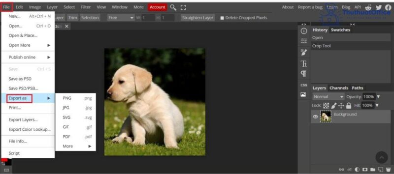 Cách cắt ảnh trong Word và nhiều ứng dụng khác mà bạn có thể chưa biết 21 cách cắt ảnh trong Word