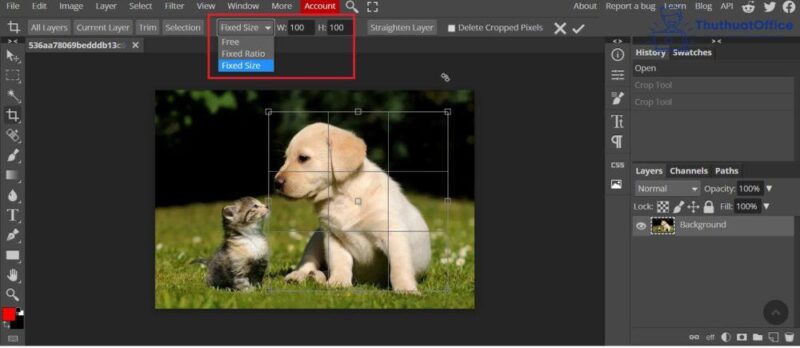 Cách cắt ảnh trong Word và nhiều ứng dụng khác mà bạn có thể chưa biết 22 cách cắt ảnh trong Word