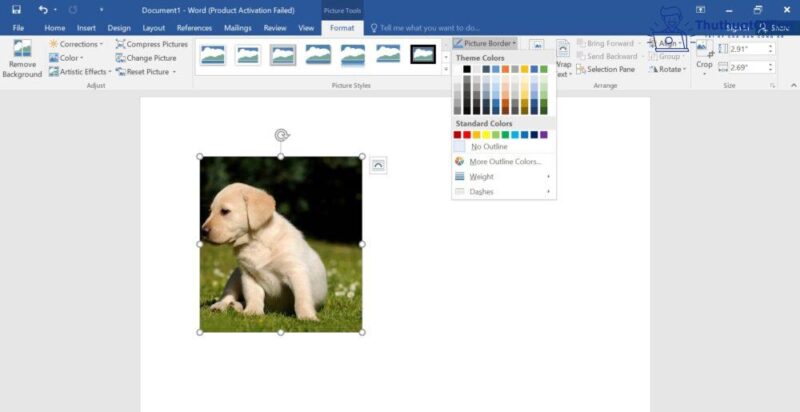 Cách cắt ảnh trong Word và nhiều ứng dụng khác mà bạn có thể chưa biết 23 cách cắt ảnh trong Word