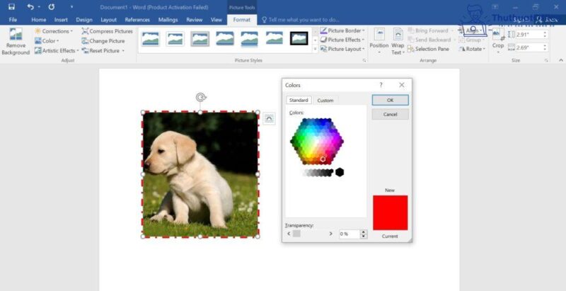 Cách cắt ảnh trong Word và nhiều ứng dụng khác mà bạn có thể chưa biết 24 cách cắt ảnh trong Word