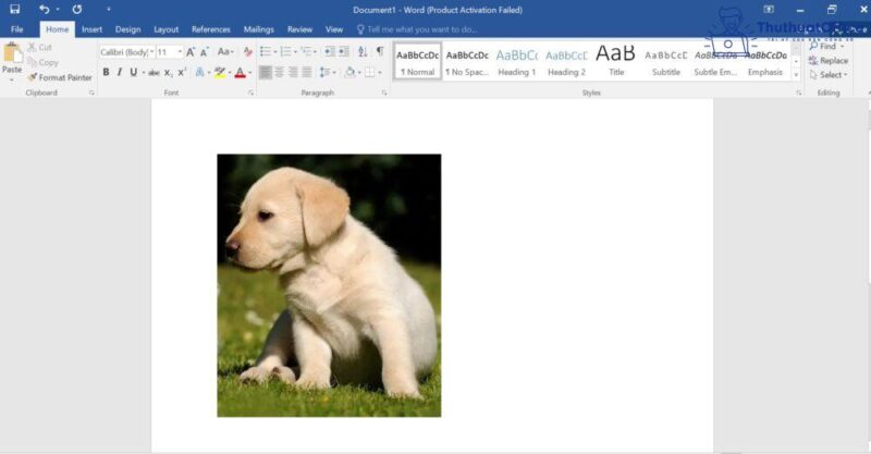 Cách cắt ảnh trong Word và nhiều ứng dụng khác mà bạn có thể chưa biết 5 cách cắt ảnh trong Word