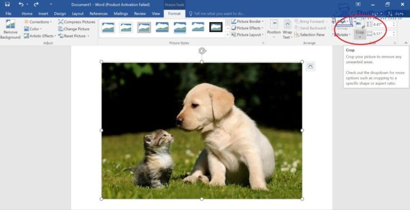 Cách cắt ảnh trong Word và nhiều ứng dụng khác mà bạn có thể chưa biết 6 cách cắt ảnh trong Word