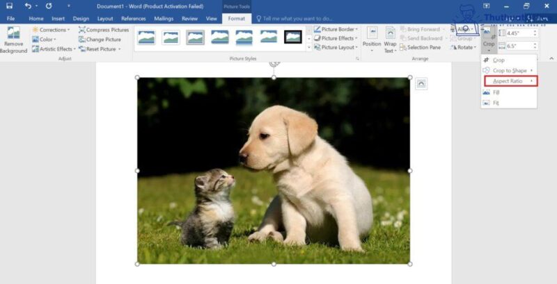 Cách cắt ảnh trong Word và nhiều ứng dụng khác mà bạn có thể chưa biết 7 cách cắt ảnh trong Word