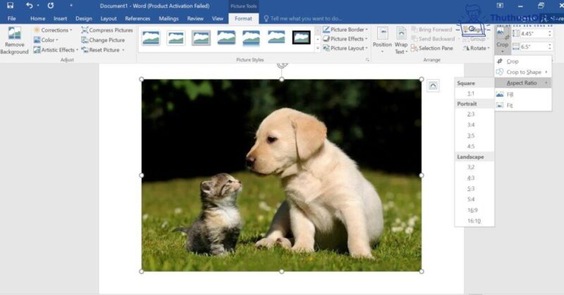 Cách cắt ảnh trong Word và nhiều ứng dụng khác mà bạn có thể chưa biết 8 cách cắt ảnh trong Word