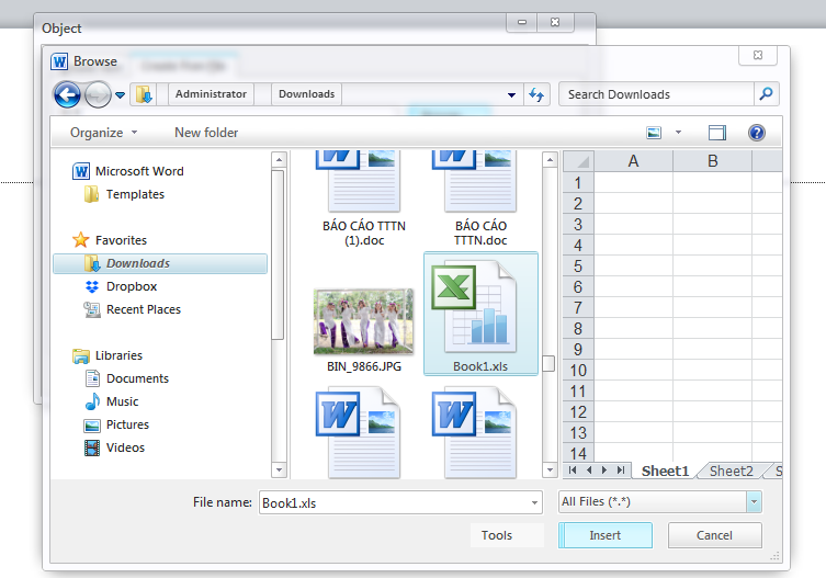 Cách chèn file Excel vào Word trong tích tắc 5 Cách chèn file Excel vào Word trong tích tắc 4