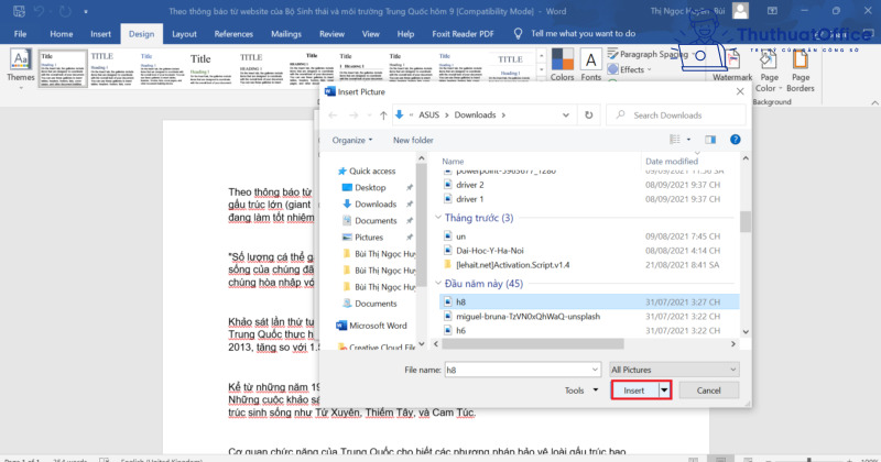 Cách làm mờ ảnh trong Word đơn giản nhất 16 làm mờ ảnh trong word