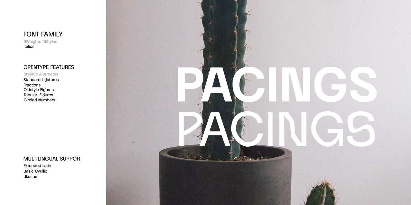 Priego Font Family Preview 5