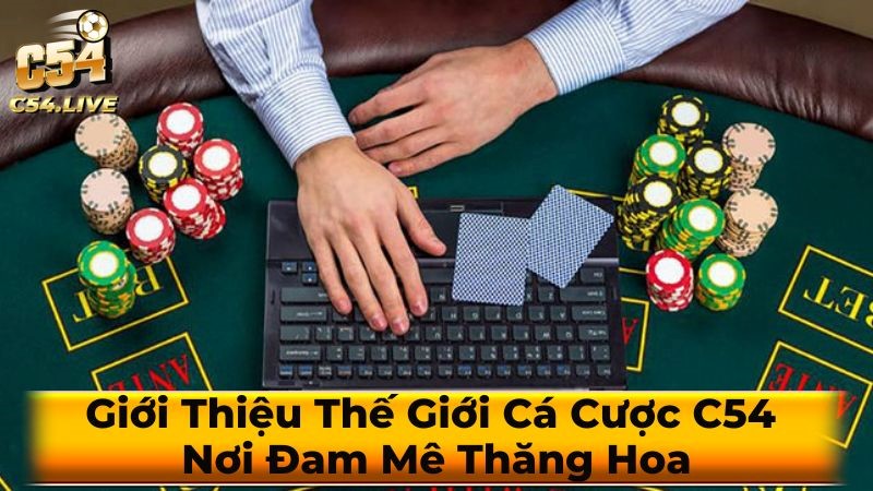 Các bước đăng nhập nhà cái C54