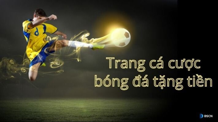 trang cá độ bóng đá Việt Nam